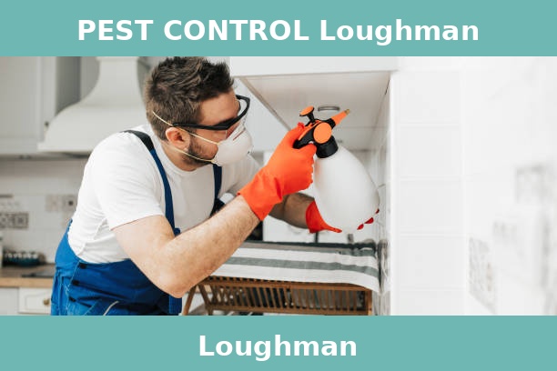 PEST CONTROL Loughman